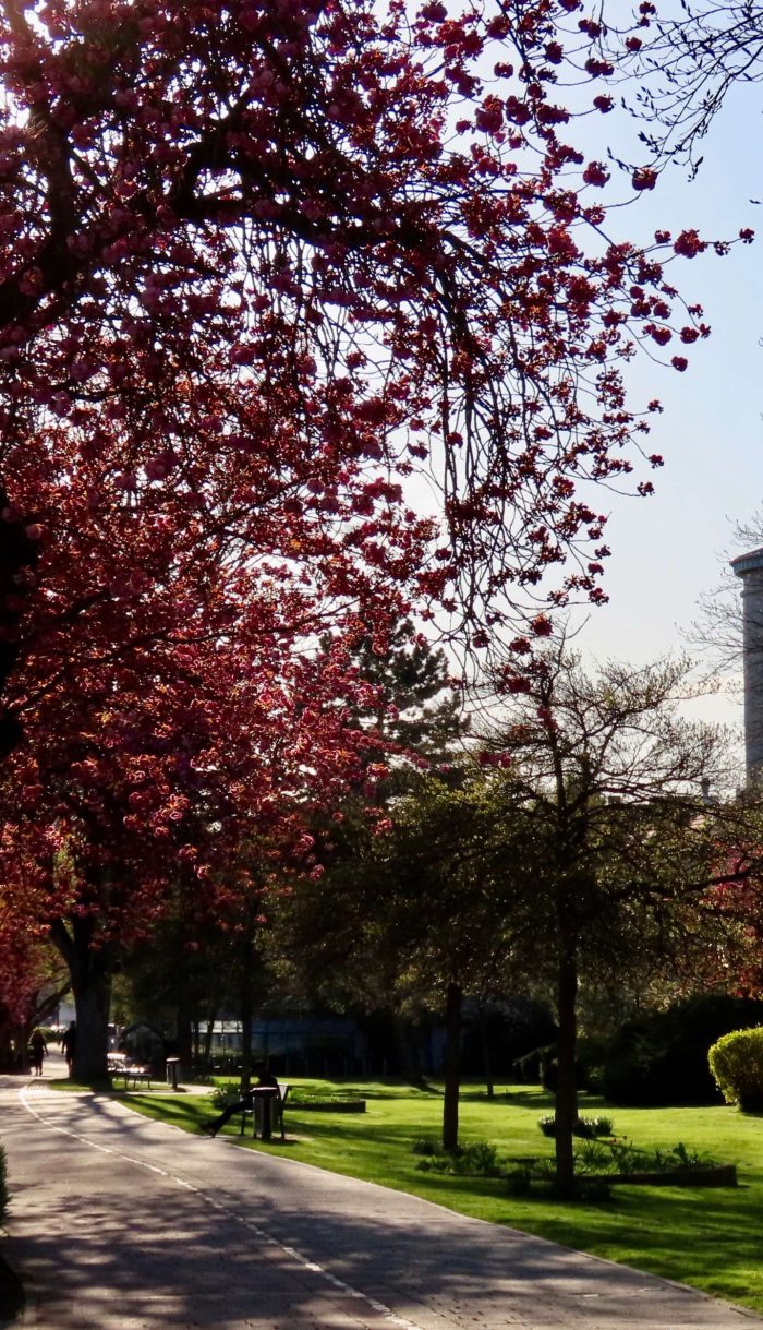 Foto der paderborner Stadtmauer - Kanzlei Franziskanermauer Rechtsanwälte Paderborn